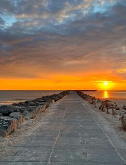 Apartment oder Wohnung gesucht❗️ - Neumünster