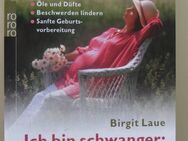 Ich bin schwanger: natürlich pflegen und heilen. Von Birgit Laue - Münster