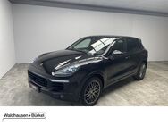 Porsche Cayenne, 3.0 TDI Diesel Platinum Edition, Jahr 2017 - Mönchengladbach