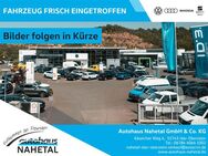 VW Polo, 1.0 TSI VI Highline LMR15 RÜFA, Jahr 2020 - Idar-Oberstein