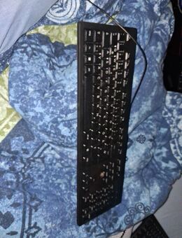 HP Computer Tastatur mit USB-ANSCHLUSS - Laubach (Hessen)