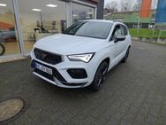 CUPRA Ateca, 2.0 TSI, Jahr 2024 - Rommerskirchen