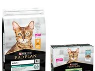 PURINA PRO PLAN Trockenfutter + 10 x 85 g Sterilised Adult Maintenance gratis! - 10 kg Adult Renal Plus reich an Huhn