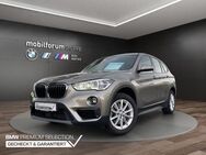 BMW X1, xDrive20i Advantage HiFi Parkassis, Jahr 2018 - Freiberg