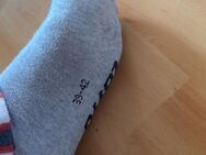 Graue stinke Socken - Hamburg