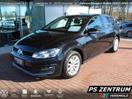 VW Golf, 1.2 TSI VII Lounge, Jahr 2016 - Versmold