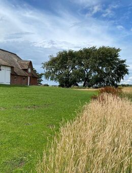 Resthof in herausragender Lage - Rodenäs