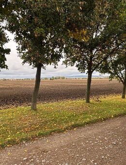 Ruhige Lage, großes Potenzial in dem 4 Seitenhof! - Sömmerda