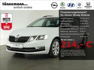 Skoda Octavia, COMBI STYLE, Jahr 2019 - Münster