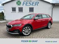 Skoda Octavia, 2.0 TSI Scout DSG4x4 eHECK STDZ, Jahr 2022 - Heideck