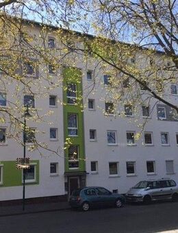 Zentral gelegene 2-Zimmer-Wohnung in Darmstadt - Darmstadt