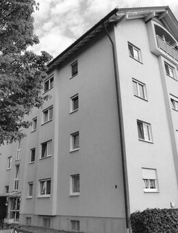 Sonniger Balkon und eigener Stellplatz - helle Wohnung in Kleinwallstadt! - Kleinwallstadt