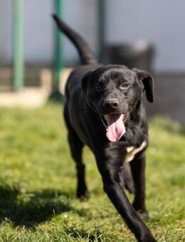 Claudio sucht seine Familie - Weilheim (Oberbayern)