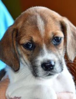 Lisa möchte Ihr Herz erwärmen - Neuss