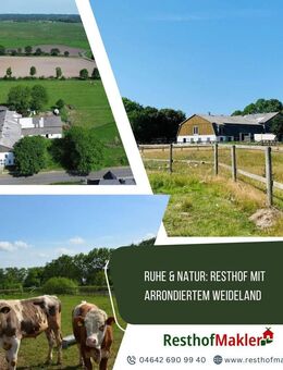 Ruhe & Natur: Resthof mit arrondiertem Weideland - Nordhastedt