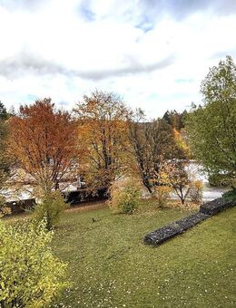 Ruhige und sehr gepflegte 3 1/2 Zimmer Wohnung mit Aussicht ins Grüne - Überlingen