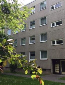 Perfekt! Gut geschnittene 3-Zimmer-Wohnung in grüner Wohnlage - Kassel