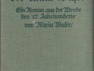 Buch von Maria Waser DIE GESCHICHTE DER ANNA WASER [1923] - Zeuthen