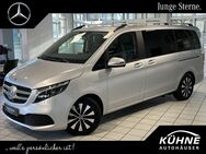 Mercedes V 250, d Edition lang el, Jahr 2023 - Wiedemar