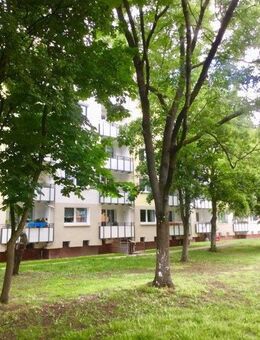 Die gefällt mir: 2-Zimmer-Citywohnung - Hannover