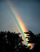 Ich suche eine Frau und bin eine Frau zuverlässig, ehrlich, direkt bis 66 Jahre in 12309