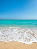 Domélia – Individuelle KI-Naturbilder nach Wunsch in 30655