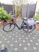 Gazelle Arroyo C7 in 52525