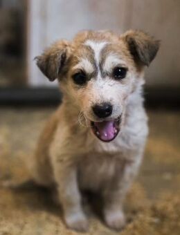 Ihre einzige Chance! - Stuttgart