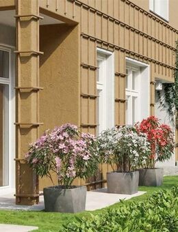 Premium Wohnung mit Gartenterrasse im Rüdesheimer Platz Kiez - VERMIETET - Berlin