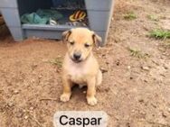 Caspar bereit für viele Abenteuer - Oberhausen