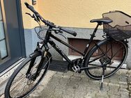 KTM Trentino light Damenfahrrad Trekkingrad 28 Zoll - Frankfurt (Main)