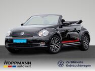 VW Beetle, 1.4 TSI Cabriolet Allstar PDV, Jahr 2016 - Haiger