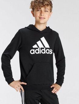 adidas Sportswear Kapuzensweatshirt BIG LOGO ESSENTIALS COTTON HOODIE