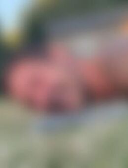 Jul*** - Staudach-Egerndach