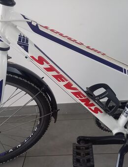 Stevens 24 Zoll Fahrrad - Landau (Pfalz)