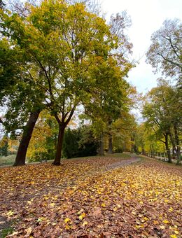 Ehrlich, offen und mit Lust auf gute Gespräche - Rinteln