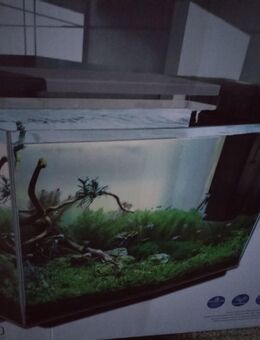 Aquarium Super Fish Home 110 in weiß mit LED Beleuchtung - Niederwerrn