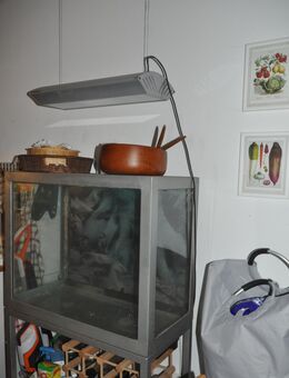 Aquarium-, Fisch-, Terrarium Becken, 80 x 80 x 40 cm + Untergestell 80 x 65 x 40 cm - Schwabenheim (Selz)