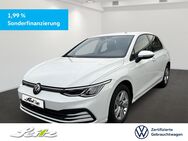 VW Golf, 1.5 TSI VIII Life, Jahr 2024 - Weingarten