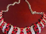 Halsband abgebe in Dresden kostenlos oder bestellen Versand - Dresden
