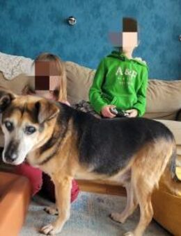 Gacek- Lieber Opi sucht Paten - Hochheim (Main)