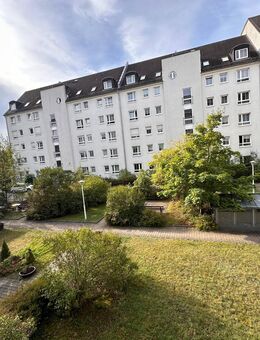 Wir verlegen Ihren Wunschbodenbelag + Aufzug + Balkon + grüner Innenhof - Chemnitz
