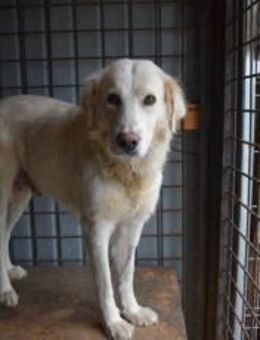 Ro wünscht sich ein Leben voller Liebe - München