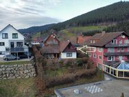 Zauberhaftes Wochenendhaus mit Möglichkeit zur Dauernutzung - Baiersbronn