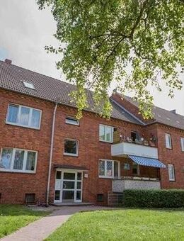 Schöne Wohnung sucht Mieter: schöne 2-Zimmer-Wohnung frisch saniert - Geesthacht