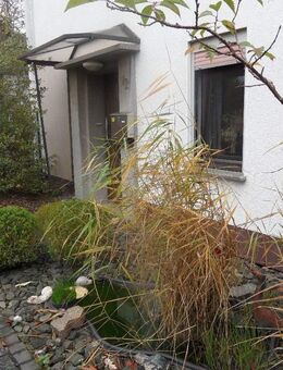 URBACH: Das Haus für die Familie mit großen Grundstück, Doppelgarage und Nebengebäuden - Urbach (Rheinland-Pfalz)