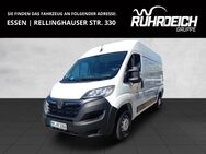 Opel Movano, C Cargo Edition L2H2 RKFK ALLW, Jahr 2022 - Essen