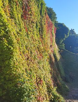 45 j. und auf der Suche nach einer - Berlin