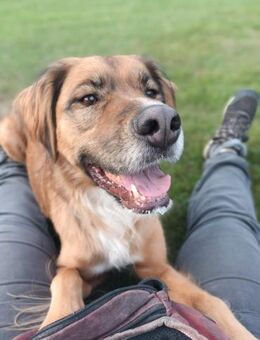 Tony Pongo - ein bildschöner Partner - Mettmann