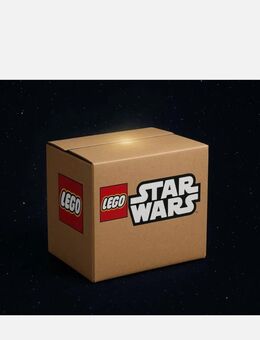 LEGO Star Wars: Surprise Box . Mystery Konvolut - Berlin Charlottenburg-Wilmersdorf